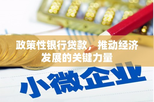 太湖政策性银行贷款，推动经济发展的关键力量