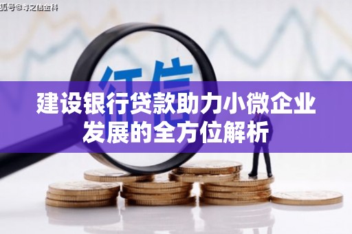 太湖建设银行贷款助力小微企业发展的全方位解析
