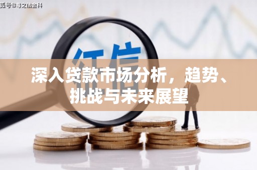 太湖深入贷款市场分析，趋势、挑战与未来展望