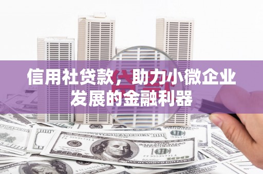 太湖信用社贷款，助力小微企业发展的金融利器