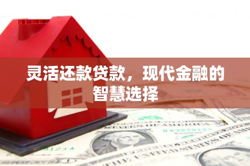 太湖灵活还款贷款，现代金融的智慧选择