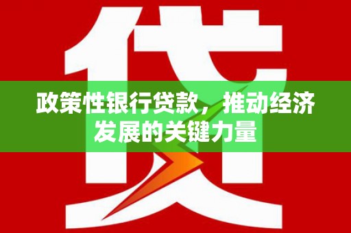 太湖政策性银行贷款，推动经济发展的关键力量