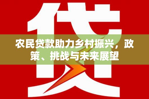 太湖农民贷款助力乡村振兴，政策、挑战与未来展望