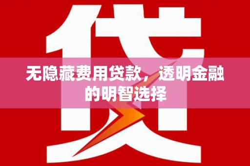 太湖无隐藏费用贷款，透明金融的明智选择