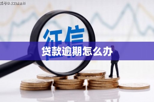 太湖贷款逾期怎么办