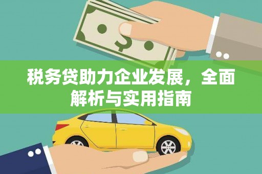 太湖税务贷助力企业发展，全面解析与实用指南