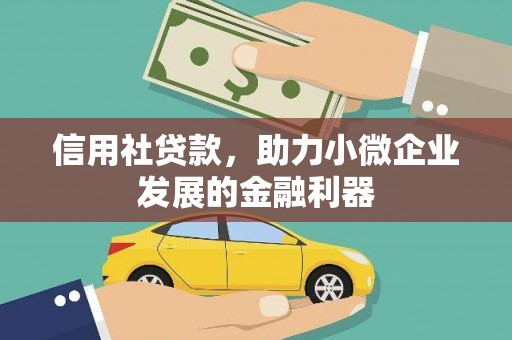 太湖信用社贷款，助力小微企业发展的金融利器
