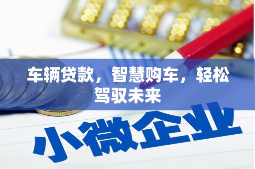 太湖车辆贷款，智慧购车，轻松驾驭未来