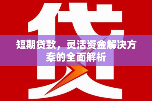 太湖短期贷款，灵活资金解决方案的全面解析
