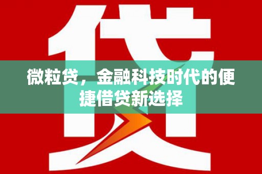太湖微粒贷，金融科技时代的便捷借贷新选择