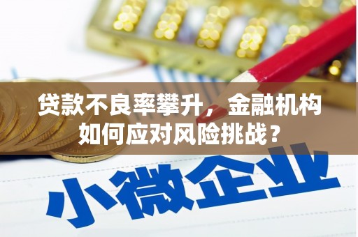 太湖贷款不良率攀升，金融机构如何应对风险挑战？