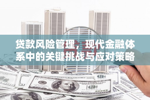 太湖贷款风险管理，现代金融体系中的关键挑战与应对策略