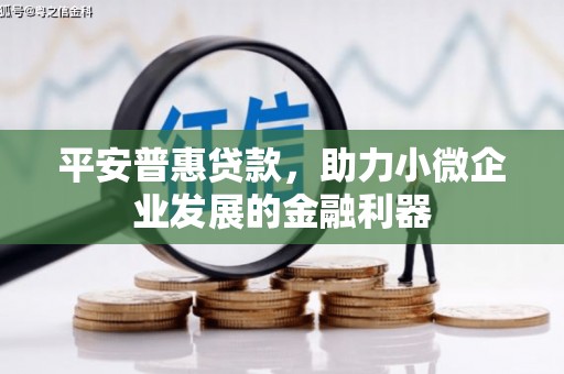 太湖平安普惠贷款，助力小微企业发展的金融利器