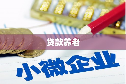太湖贷款养老