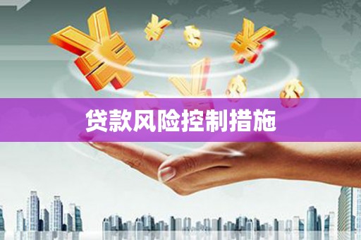 太湖贷款风险控制措施