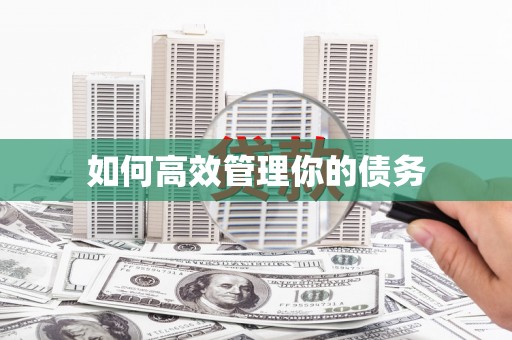 太湖如何高效管理你的债务