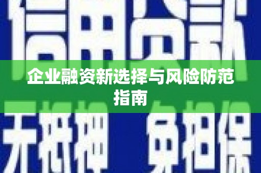 太湖企业融资新选择与风险防范指南