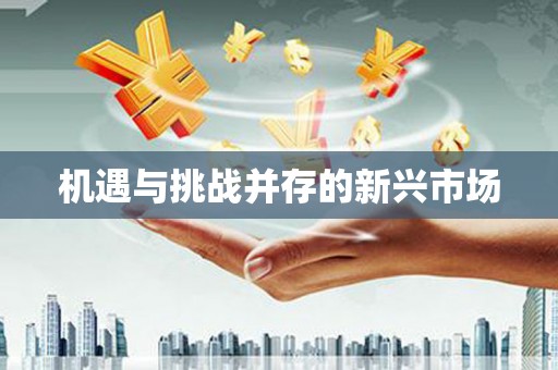 太湖机遇与挑战并存的新兴市场