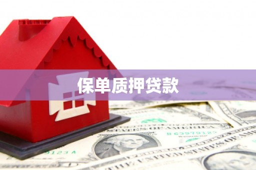 太湖保单质押贷款