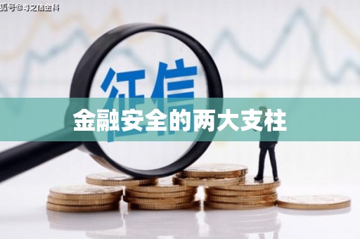 太湖金融安全的两大支柱