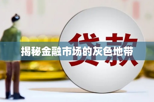 太湖揭秘金融市场的灰色地带