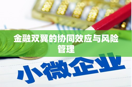 太湖金融双翼的协同效应与风险管理