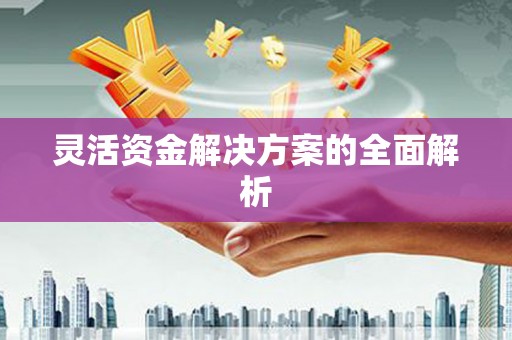 太湖灵活资金解决方案的全面解析