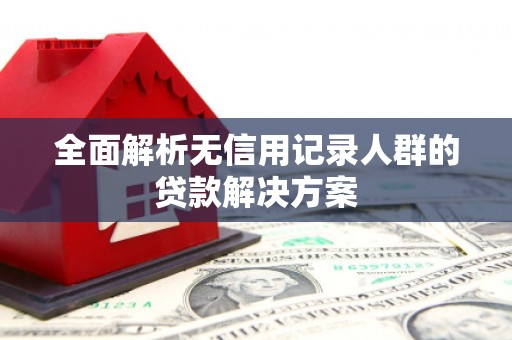 太湖全面解析无信用记录人群的贷款解决方案