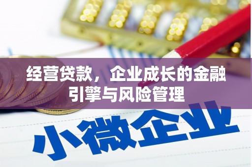 太湖经营贷款，企业成长的金融引擎与风险管理