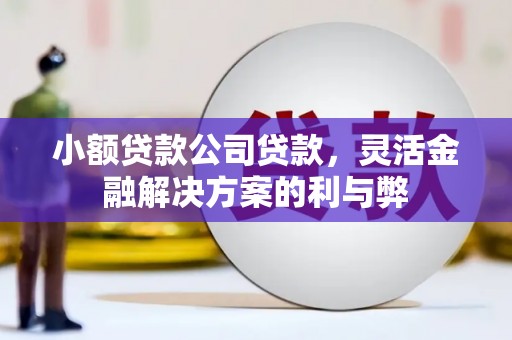 太湖小额贷款公司贷款，灵活金融解决方案的利与弊